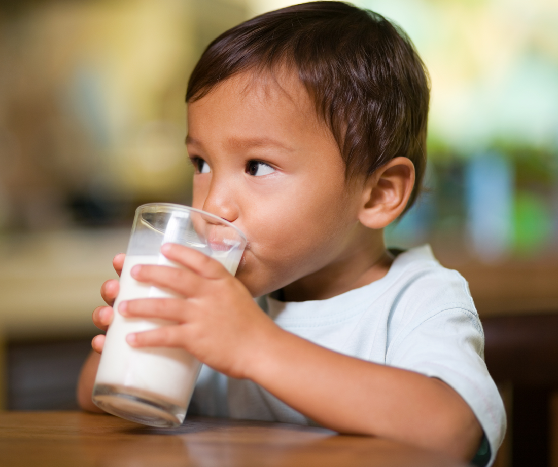 Why is it beneficial to drink A2 cow milk every day?