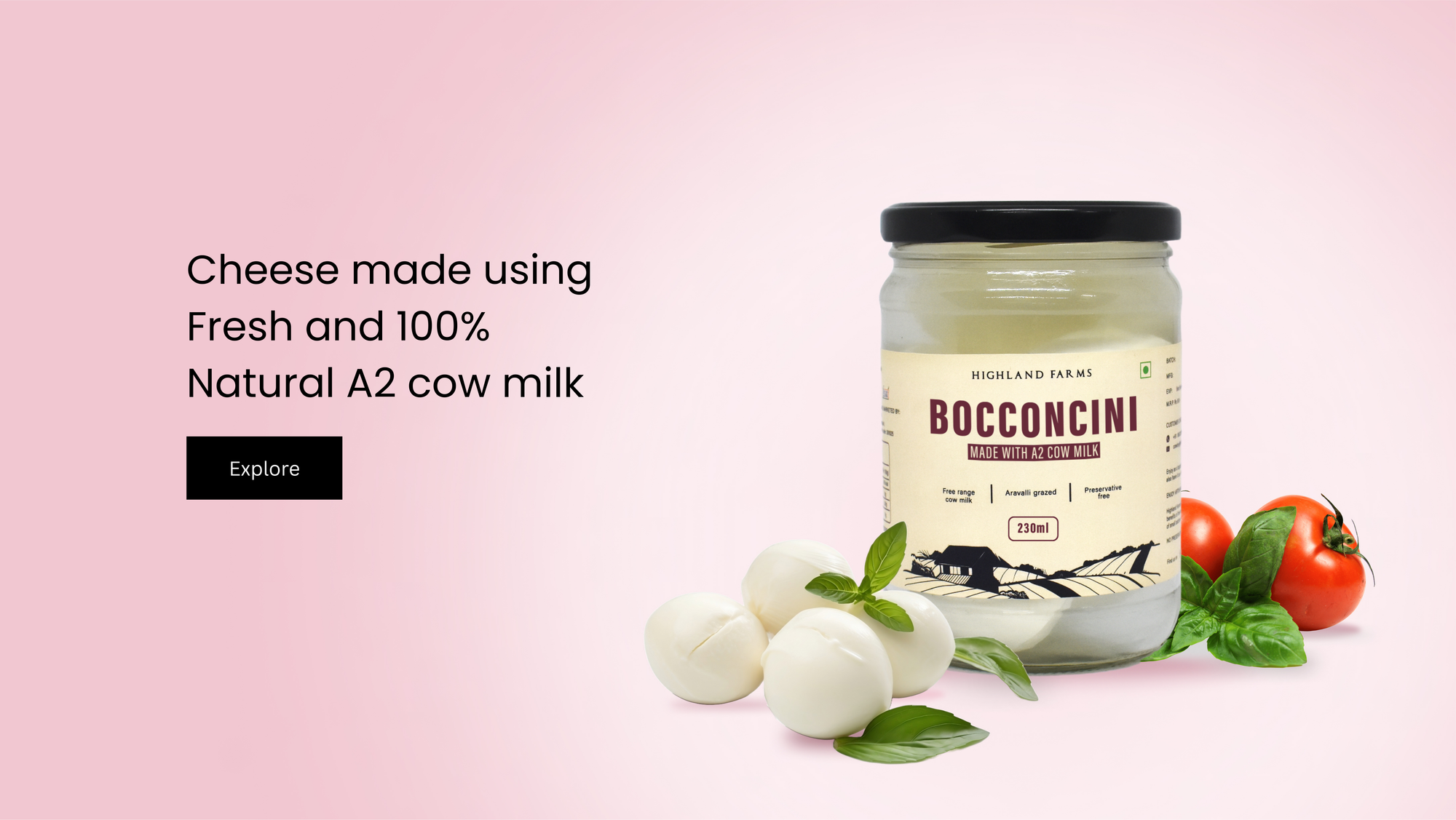 bocconcini_balls