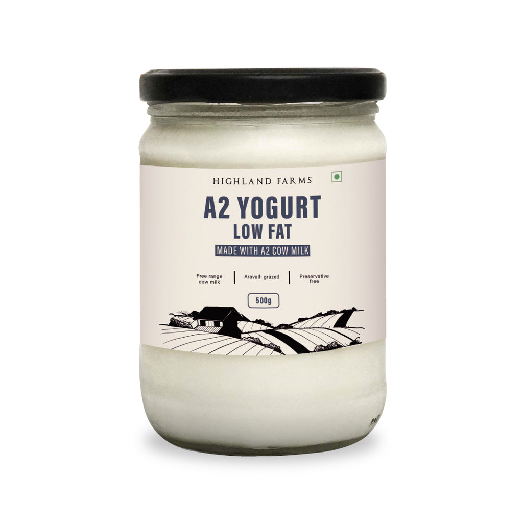 Cow Milk Low Fat Yogurt