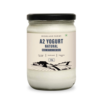 A2 Cow Milk Natural Yogurt