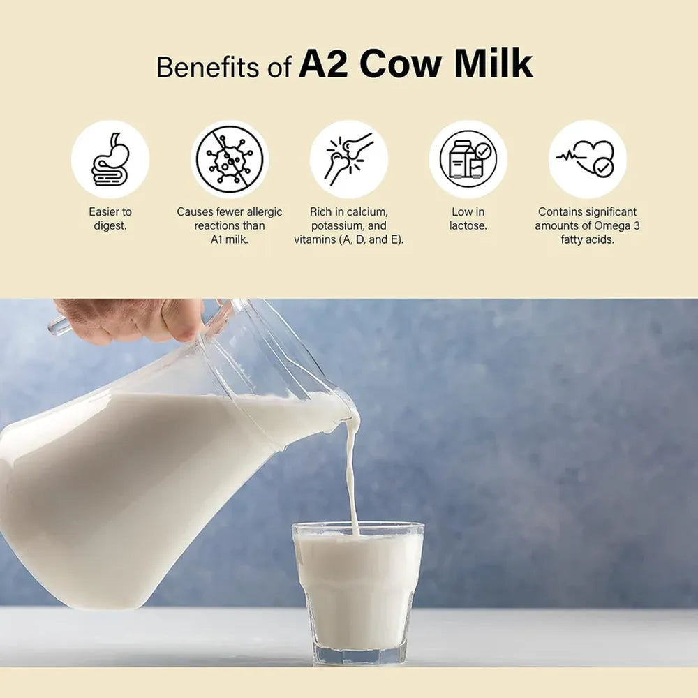 Benefits of A2 cow milk including easy digestion rich calcium and low lactose content