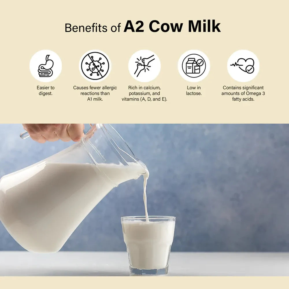 Benefits of A2 cow milk yogurt including easy digestion low lactose and high calcium