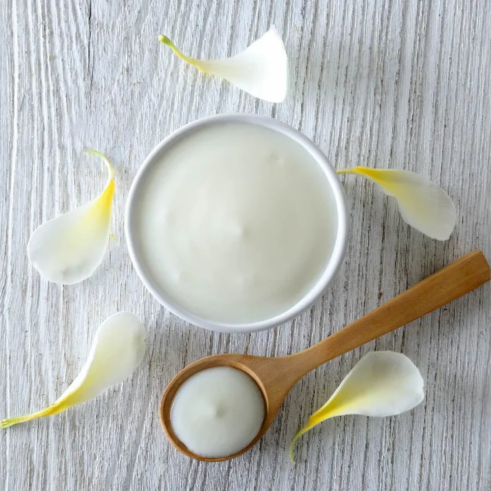 A2 low fat yogurt in bowl with spoon made from desi cow milk fresh and probiotic rich