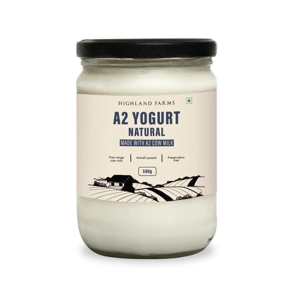 Highland Farms A2 natural yogurt 500g plain probiotic yogurt made with A2 cow milk
