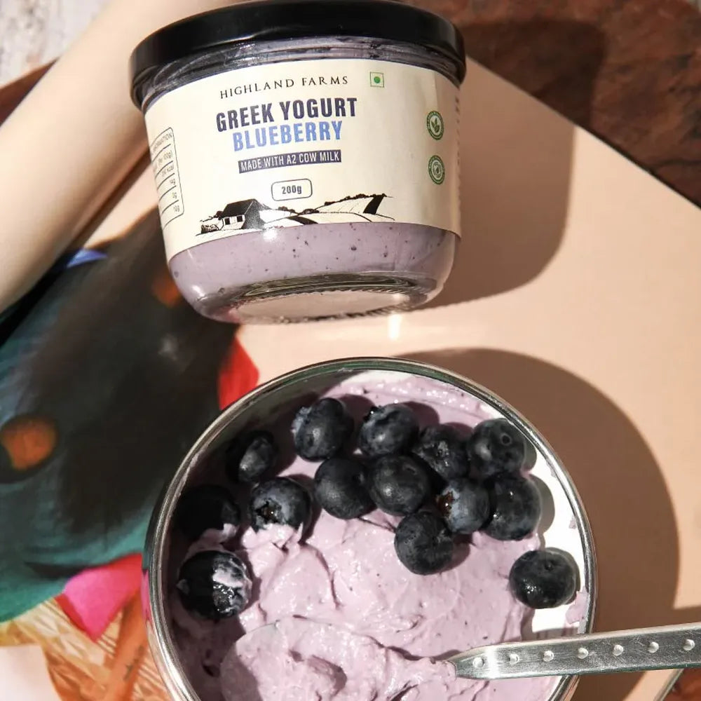 Blueberry Greek yogurt with real blueberries thick creamy healthy snack dessert option