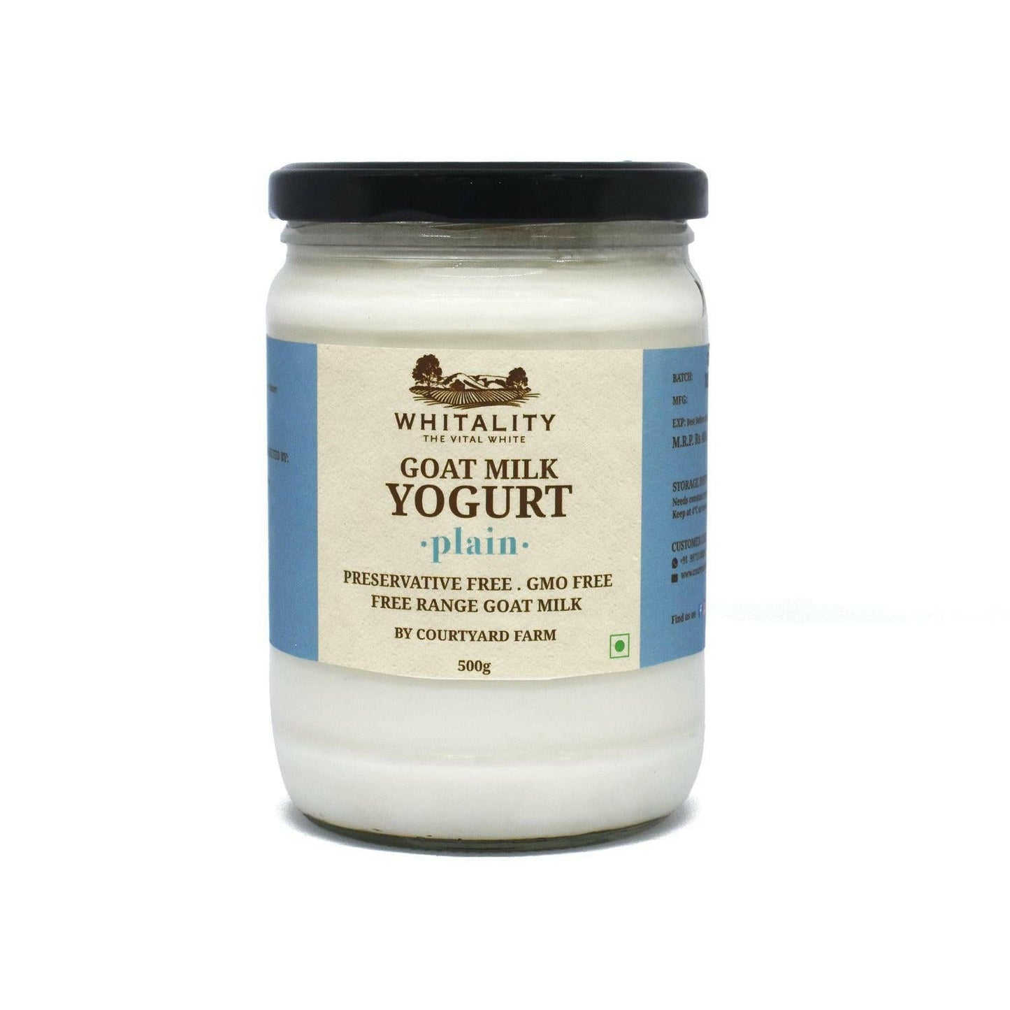 Goat Milk Yogurt Plain